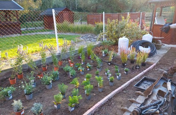 Évelőágyás telepítése folyamatban