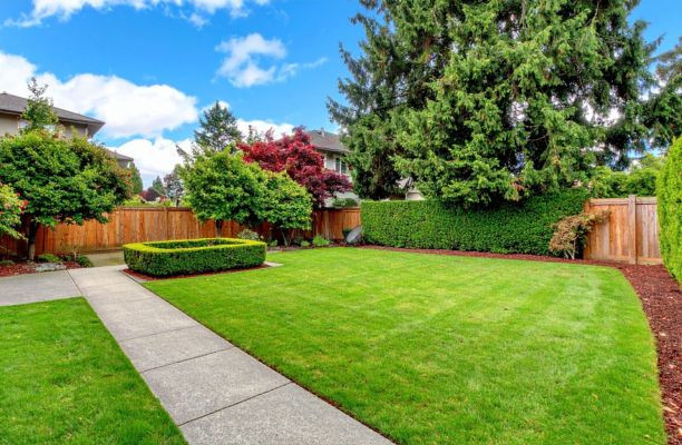 Szép, egészséges gyep a kerttben