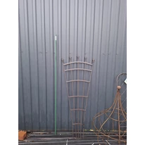 Legyező alakú fém növényfuttató 61 x 150 cm élőben ki támasztva 