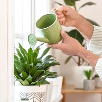 A Gardencentrum Örökzöld NPK műtrágya felhasználása.