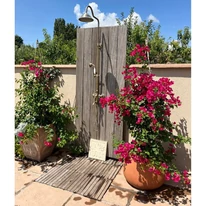 Bougainvillea XL - Murvafürt