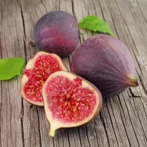 Ficus carica Brown Turkey - Török füge
