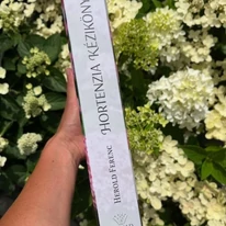 A Hortenzia kézikönyv terjedelme megmutatkozik a képen.