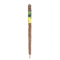 Tuteur coco termesztő karó 100 cm-es kiszerelésben.