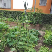 120 cm hosszú STEEL PLAST műanyag bevonatú acélkarók alkalmazása a kertben.