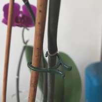 VEGRING növénykapocs használata.