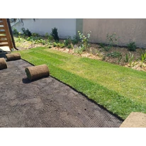 A gyepszőnyeg kiterítése.