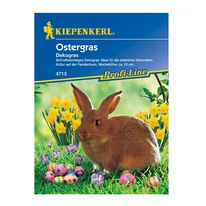 Húsvéti fű vetomagkeverék