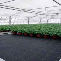 Fekete agroszövet alkalmazása kertészetben. 