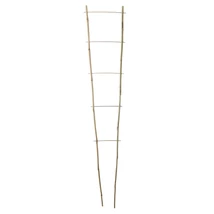 150 cm magas bambusz növénylétra a kúszónövények számára.