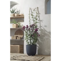 120 cm-es bambusz növénylétra beltéri alkalmazása.