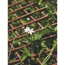 Kihúzható fonott apácarács fűzfából.