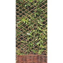 TRELLIWILLOW kihúzható fűzfa apácarács növénnyel befuttatva.