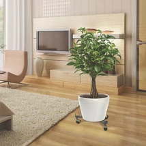 Fém gurulós növényalátét 30/42 cm állítható méretű.