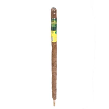 Tuteur coco termesztő karó 100 cm-es kiszerelésben.