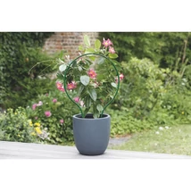 PLAST ARC ívelt növénytámasztó használata cserepes futónövény esetében.