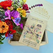 Vadvirág vetőmag fadobozban.