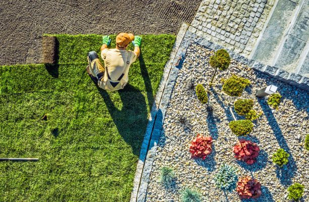 Kertépítő szakember gyepszőnyeget fektet a kerttben a sziklakert melletti területen