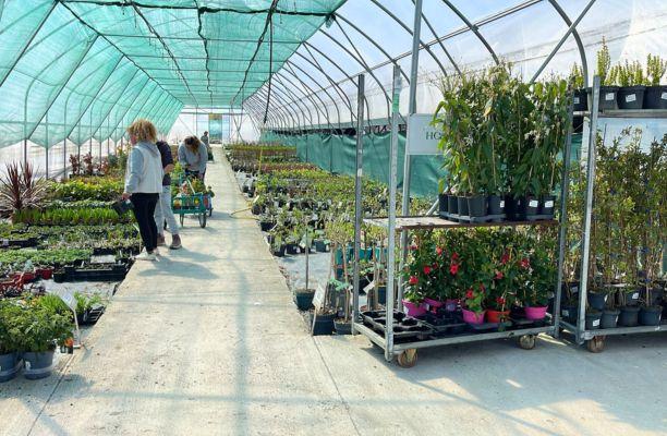 Személyesen is válogathatsz a Gardencentrum árudákban