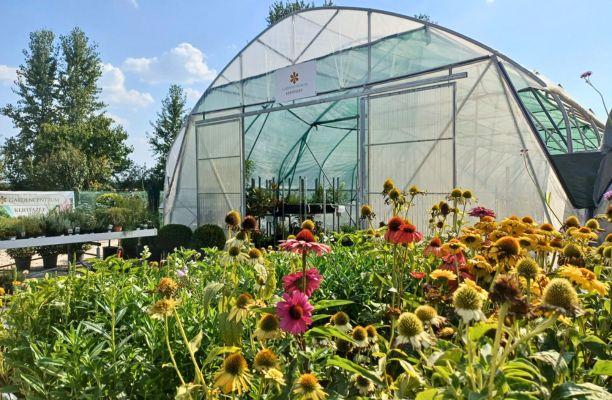 A Gardencentrum egyik kertészete