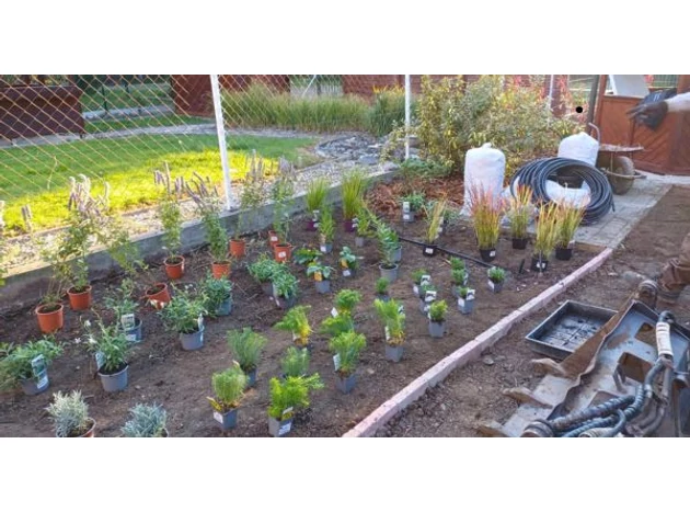 Kerttervezés és kertépítés a Gardencentrumnál – ezért csináljuk szenvedéllyel