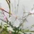 Kép 2/15 - Fehér évelő díszgyertya virága közelről kertészetünkben.