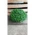 Kép 2/5 - Chrysanthemum - Gömb alakú krizantém
