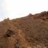 Kép 4/5 - Az M-Peat alapanyagául szolgáló barna tőzeg tökéletes gyökérfejlődést biztosít.