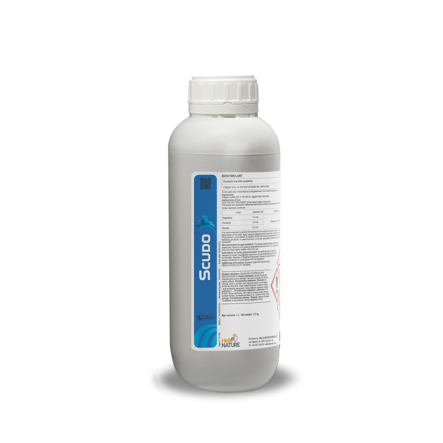 Scudo 1 L