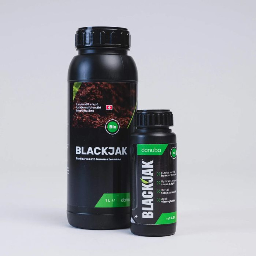 Blackjak 0.2 L