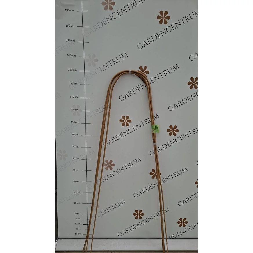 Ívelt bambuszkaró élőben a telephelyünkön 