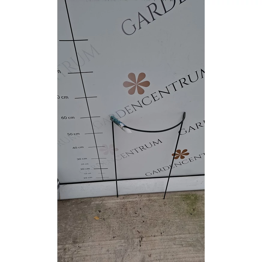 A CHELSEA félkör alakú növénytakaró magassága 