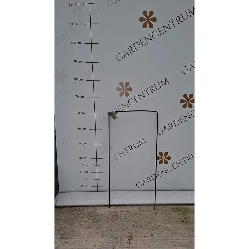 CHELSEA félkör alakú növénytakaró a gardencentrum telephelyén 