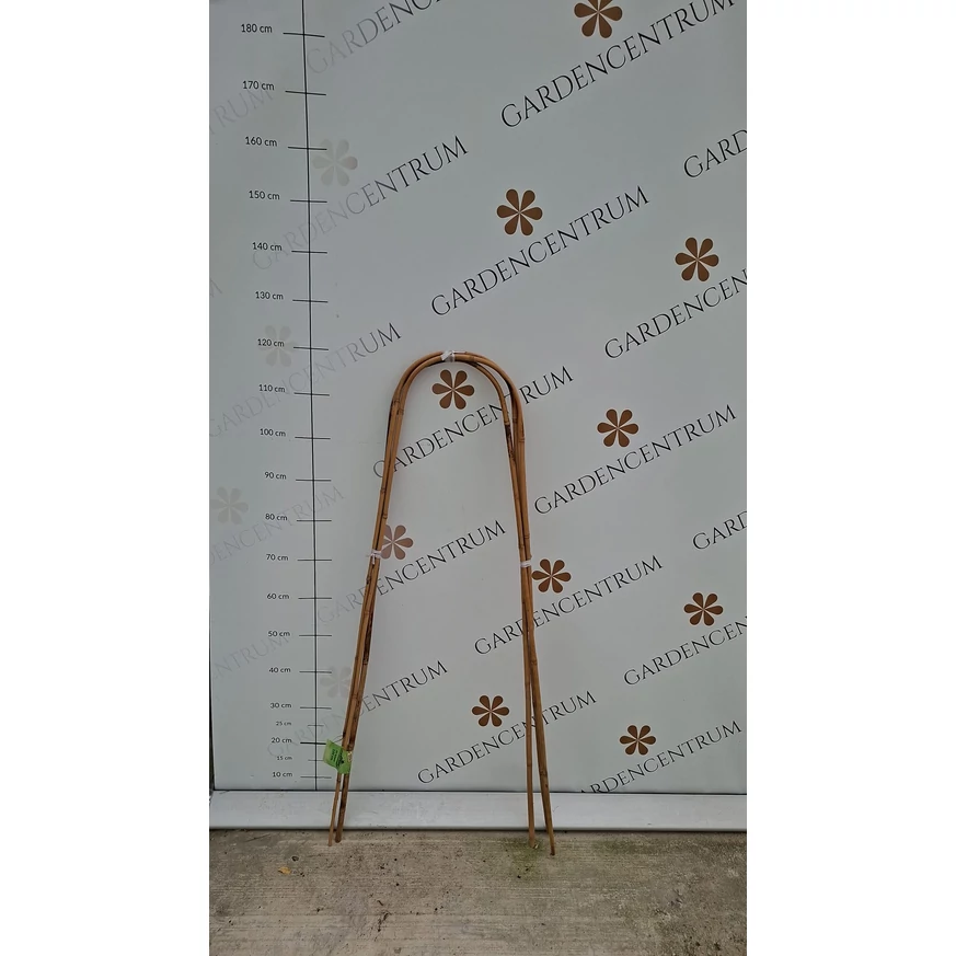 Ívelt bambuszkaró élőben a Péteri telephelyen 