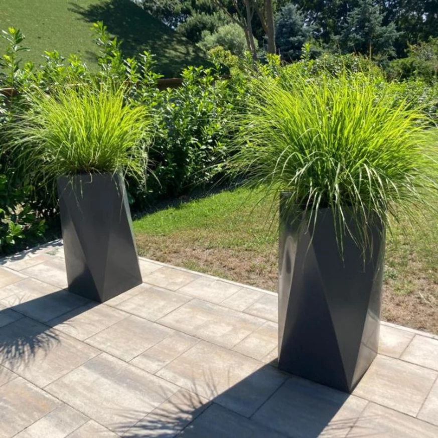 Pennisetum alopecuroides K2 - Barna bugájú tollborzfű