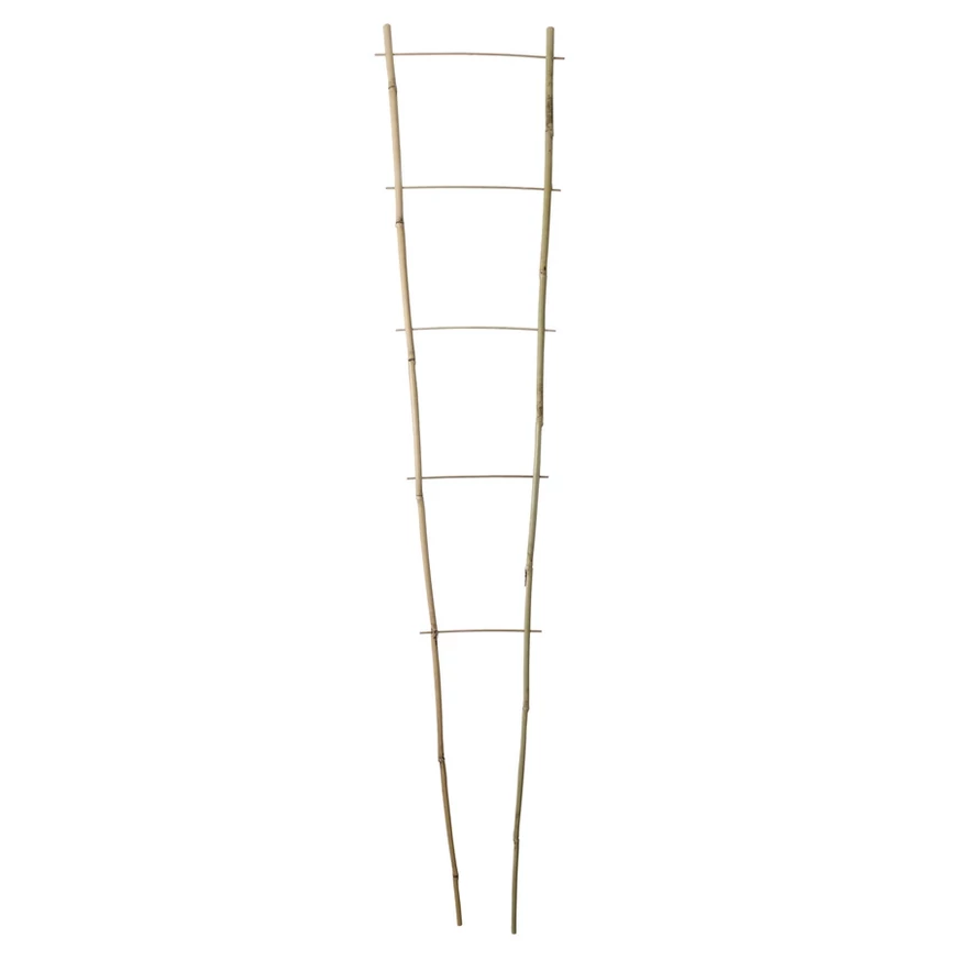 150 cm magas bambusz növénylétra a kúszónövények számára.