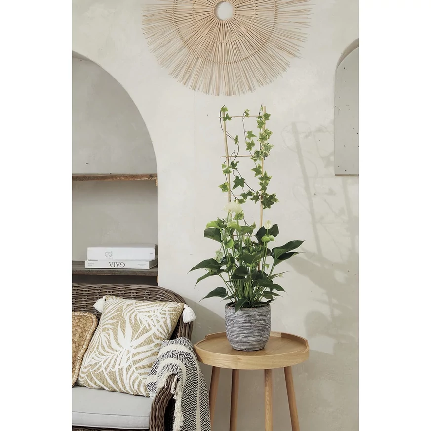 90 cm-es bambusz növénylétra kinézete.