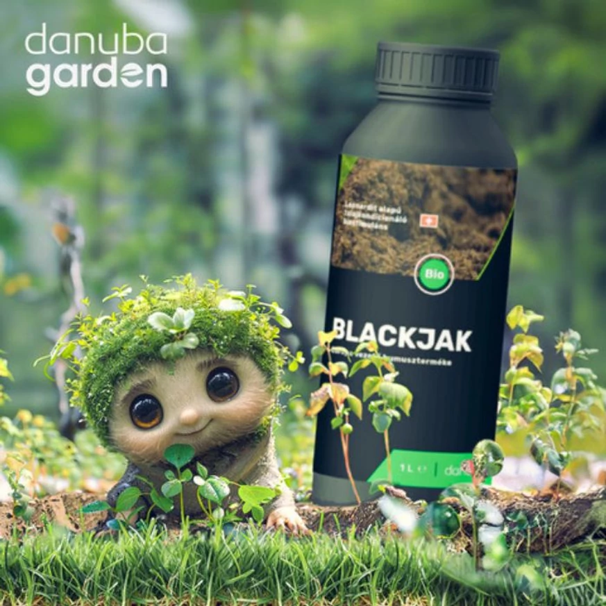 Blackjak 1L