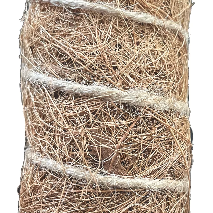 Természetes, kókuszrost bevonatú termesztő karó közelről.