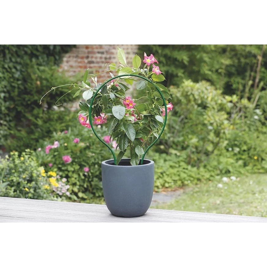 PLAST ARC ívelt növénytámasztó használata cserepes futónövény esetében.