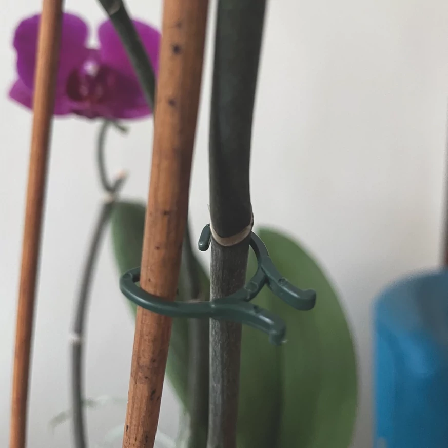 VEGRING növénykapocs használata.