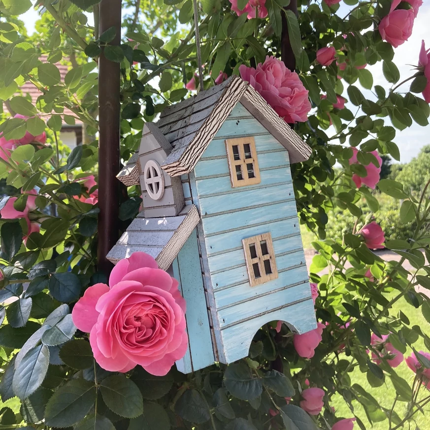 Madáretető a Leonardo da Vinci rózsa támasztékán.