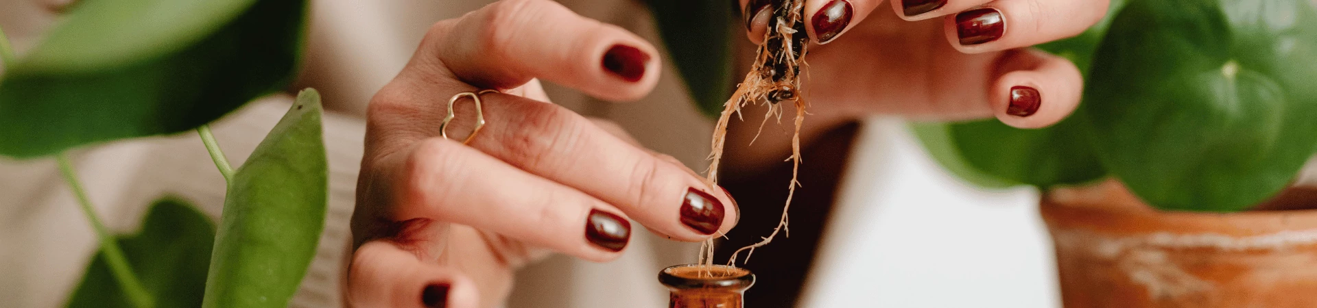 Speciális tápanyag növényeknek