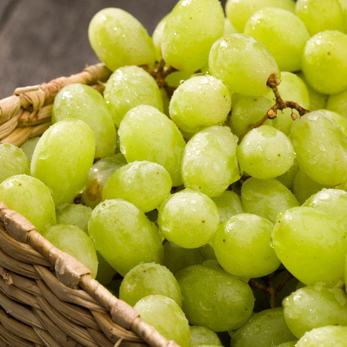 Vitis vinifera Belgrádi magvatlan - Csemegeszőlő